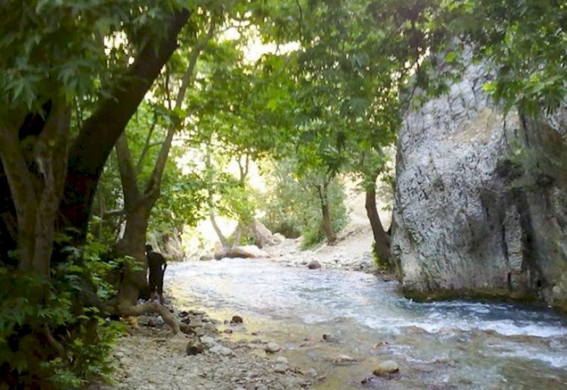 اعتراض پر حاشیه کشاورزان روستای مهریان و توضیحات معاون فرمانداری بویراحمد