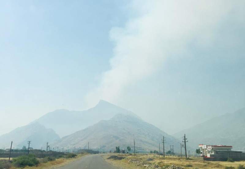 کوه دیل گچساران دچار آتشسوزی شد