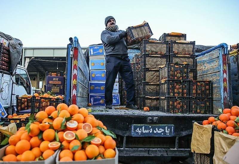 مافیا و مدیران ناتوان علت عدم راه‌اندازی میدان میوه و تره‌بار در یاسوج / گرانی میوه از اینجا آب می‌خورد