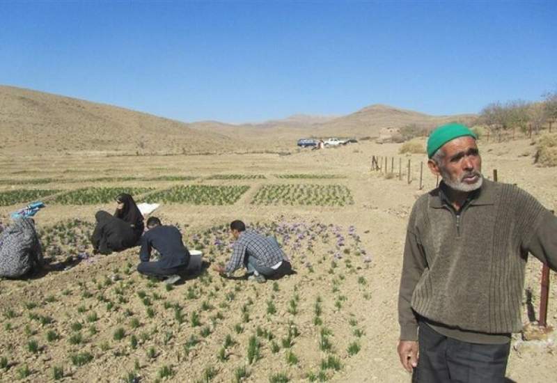 روستای «ایلی آباد» بهمئی در طرح «روستای بدون بیکار» قرار گرفت