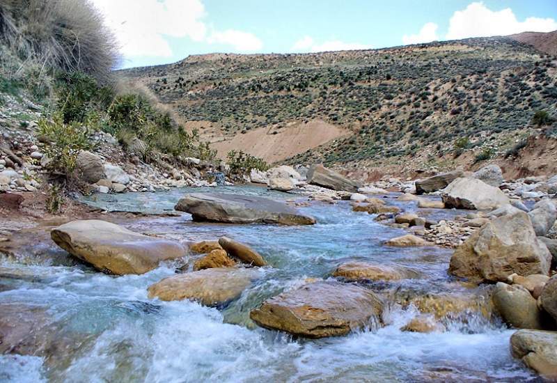 سدسازی و سندروم یک‌سویه‌نگری