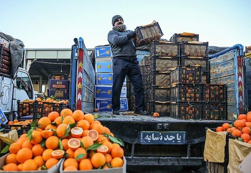 گرانی و تقلب؛ آیا بازار میوه یاسوج ر‌ها شده است؟ / آقای عسکری از زمین خوردن میدان میوه و تره بار چه کسانی سود می‌کنند؟