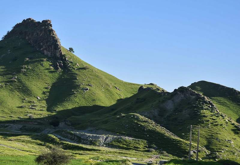 زیبای خفته در محاصره قانون‌شکنان