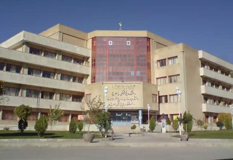 دو عضو هیات علمی دانشگاه علوم پزشکی یاسوج در زمره دانشمندان برتر جهان
