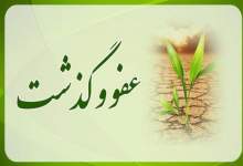 ارزش گذشت در کلام معصومان (ع)