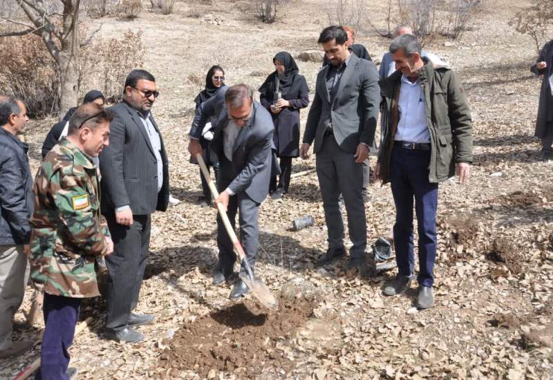 معاون دادستان کهگیلویه و بویراحمد: کاشت نهال در محمودآباد یاسوج پاسخی به تخریب‌های غیرمجاز