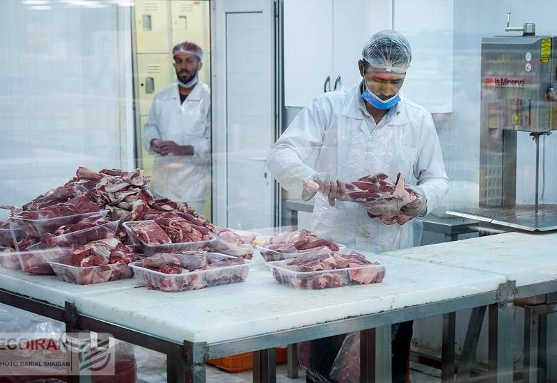 پایان رانت واردات گوشت / گوشت قرمز گران می‌شود؟