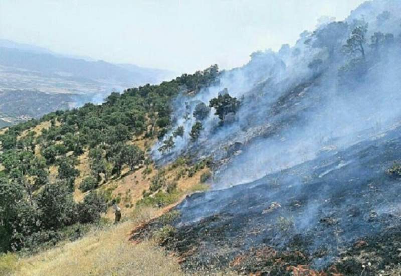 آتش‌سوزی گسترده در ارتفاعات رودتلخ بهمئی مهار شد