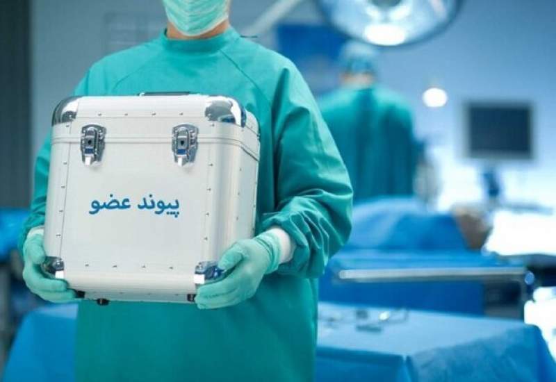 بیش از ۹۰ درصد موارد مرگ مغزی در کهگیلویه و بویراحمد، رضایت اهدای عضو دادند