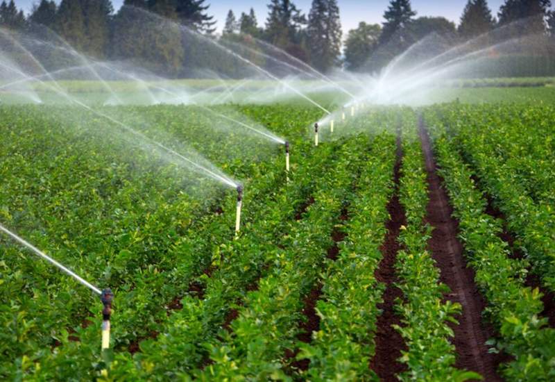 پیشتازی کهگیلویه و بویراحمد در اجرای سیستم‌های آبیاری نوین