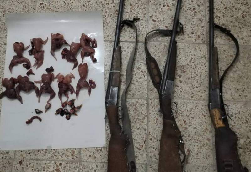 4 شکارچی متخلف در گچساران دستگیر شدند