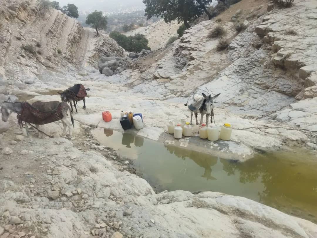 صدای عشایر دلی جی شهرستان چرام به هیچ کجا نرسید/ امتناع از آب‌رسانی،پاسخ گلایه عشایر چرام/ فرماندار و امور عشایر چرام پاسخ دهند
