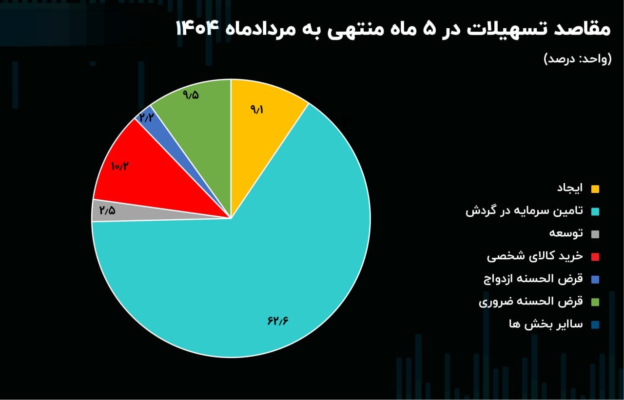 توسعه در تله تمرکز: آیا مدیران بانکی برای کهگیلویه و بویراحمد برنامه‌ای دارند؟ / چرا کهگیلویه و بویراحمد دستش از تسهیلات بانکی کوتاه است؟ /  پارادوکس اقتصادی در استان