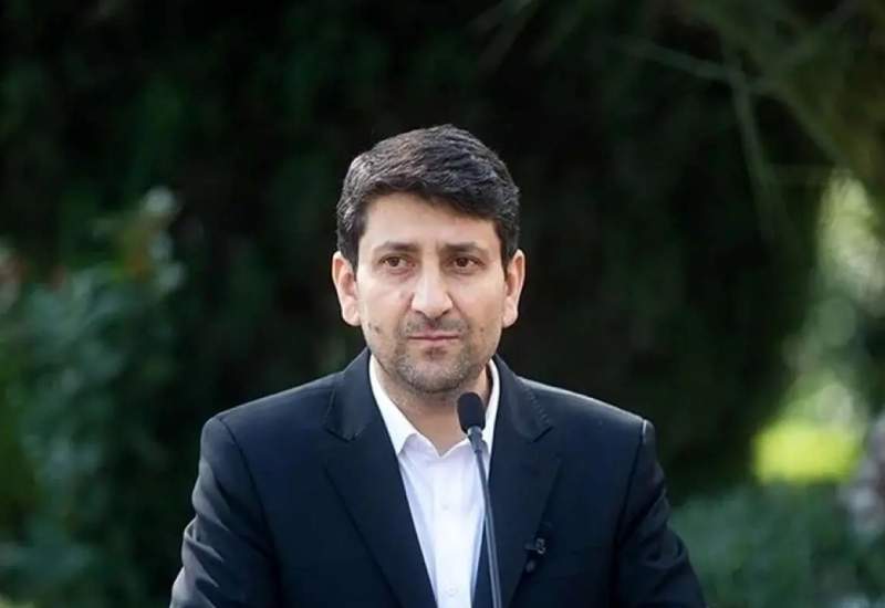 ستار هاشمی: به هیچ عنوان اجازه انحصار داده نمی‌شود