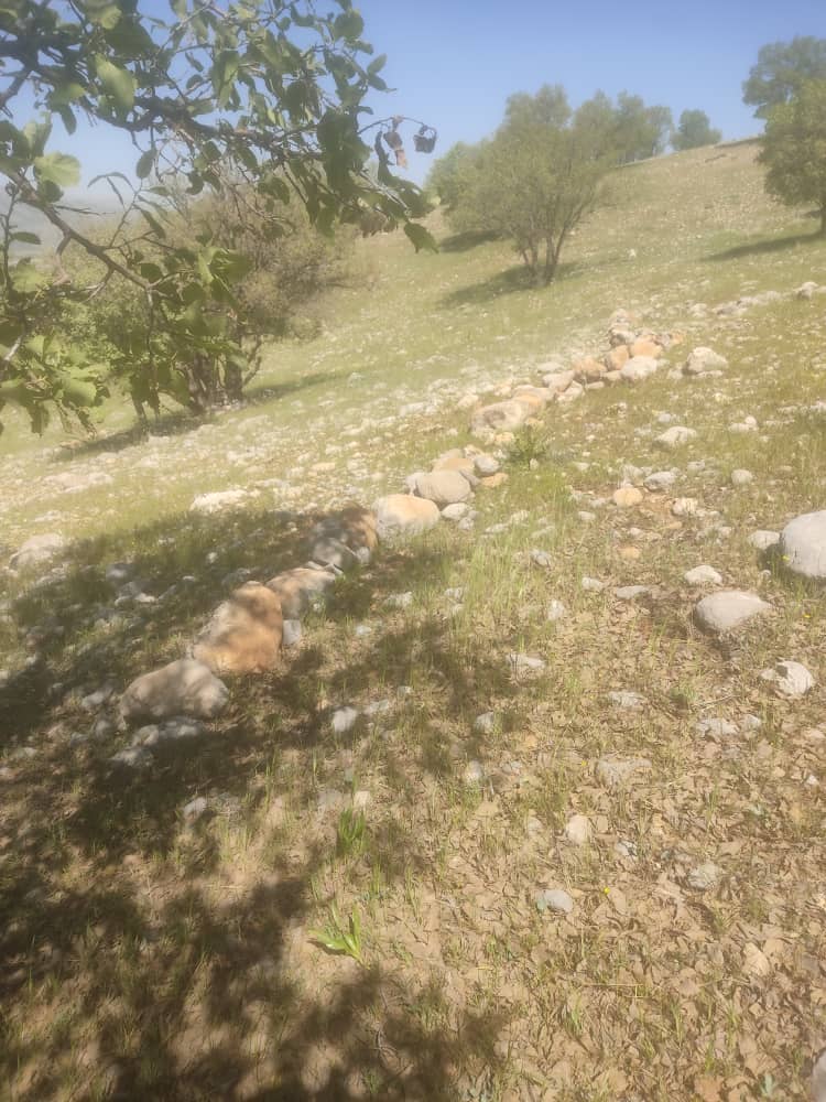 پروژه پل معلق مهریان در تعلیق / داستان عکسهای منتشر شده از قطعهبندی زمینهای محل پروژه چیست؟ / سرمایهگذاران خارجی را قدر مینهیم و سرمایهگذاران داخلی را فراری میدهیم!